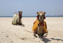 A Guide to Staying Healthy on Vacation