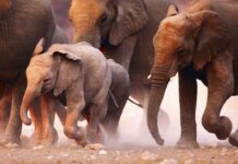 Affordable Tropical Island Getaways